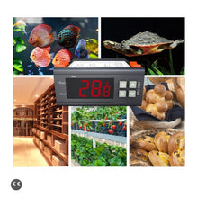 Load image into Gallery viewer, Elitech STC-1000 Temperature Controller Thermostat Automatic Switch Cooling and Heating, With Temperature Probe Sensor Input, 0.1℃ Resolution