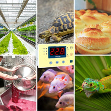 Load image into Gallery viewer, Elitech ATC-800+ Thermostat  for Planting Green House, Brewing, reptile and fish tank